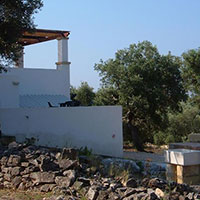 La maison et le barbecue
