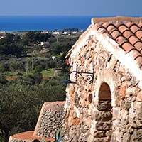 Le Petit Liama de la Residence degli Ulivi