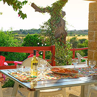 La terrasse ombragée