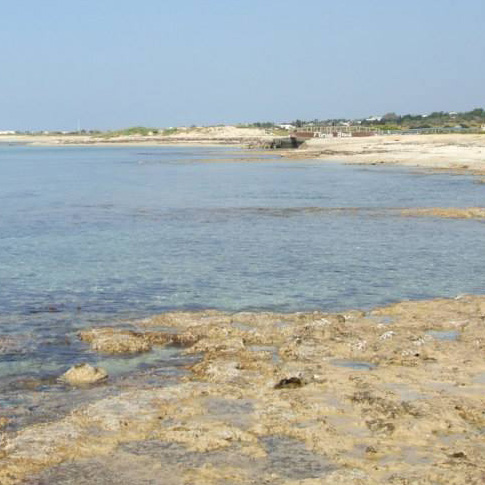 Plage de Pescoluse