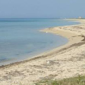 Les plages au printemps