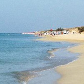Plages libres de Pescoluse