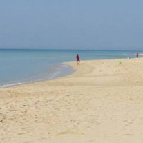 Le sable doré de Pescoluse