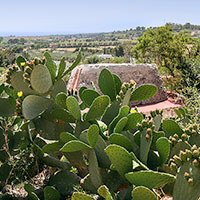 Le Petit Trullo dans la verdure de la r&eacute;sidence